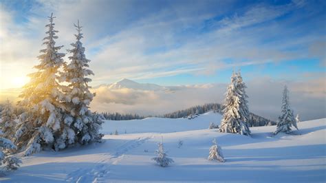 5 Ways Photographers Can Take Good Pictures Of Winter Landscapes