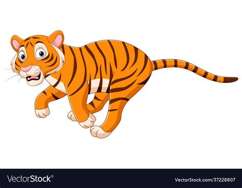 Cartoon Funny Tiger Running On White Background Vector Image