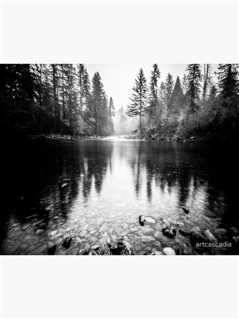 Forest Reflection Lake Black And White Nature Water Reflection