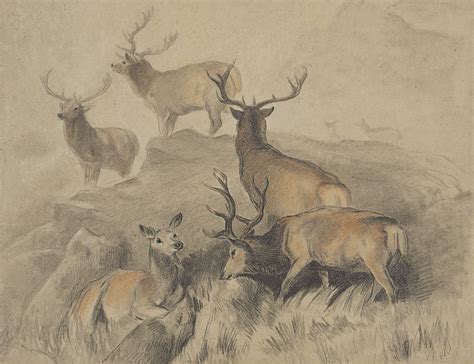 Sir Edwin Henry Landseer Ra 1802 1873 Some Of The Best Harts In