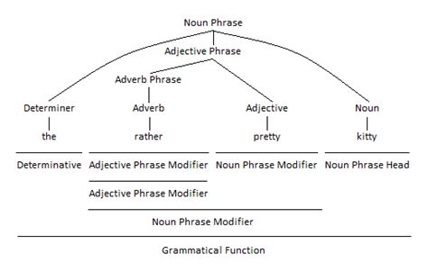 Using Nouns And Pronouns As Noun Phrase Heads Linguisticsgirl