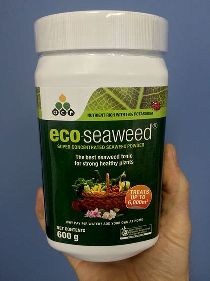 Eco Seaweed Just Got Bigger
