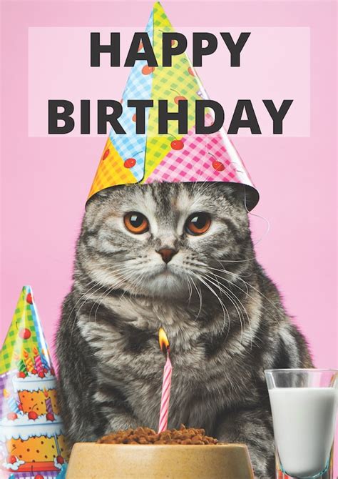 Angry Cat Meme Birthday