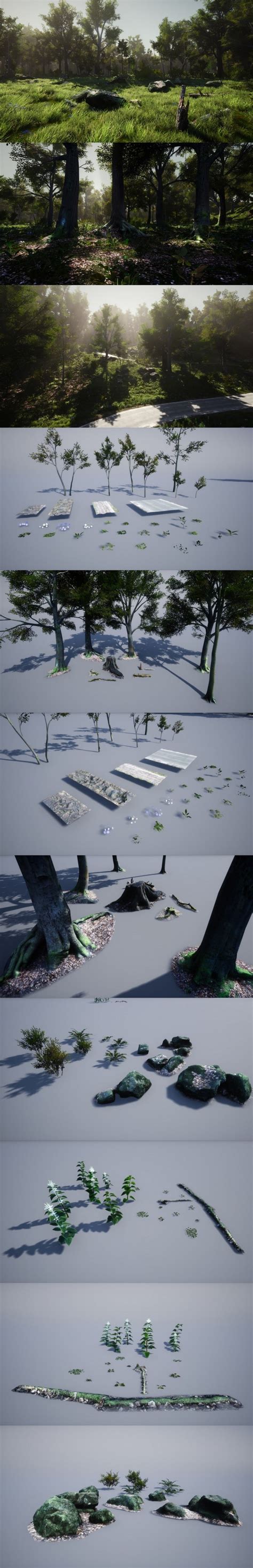 Desire Fx 3d Models 3d Scanned Photo Realistic Forest Landscape
