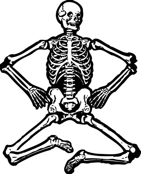 Skeleton Human Bones Free Vector Graphic On Pixabay