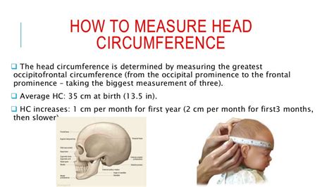 pediatric growth head circumference