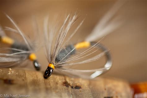 Blue Dun Soft Hackle Classic Wet Fly Tying Tutorial