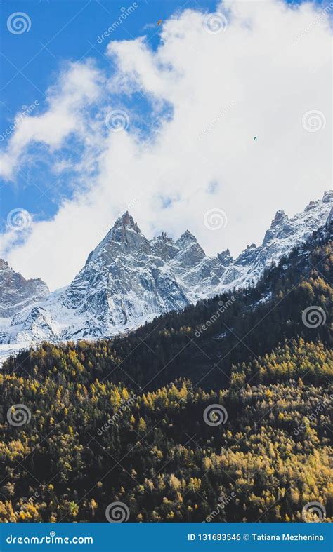 Beautiful View Of Snowy Alps Mountains And Trees Stock Photo Image Of