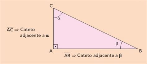 Classificação Dos Catetos Oposto E Adjacente Reforço De Matemática