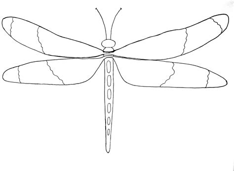 A Drawing Of A Dragonfly Sitting On Top Of A White Sheet With Black Lines