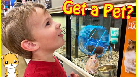 Should We Get A Pet Checking Out Hamsters At Petsmart Youtube