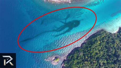 Legend has it the sea monster, similar in form to the giant squid, roamed the waters of norway and greenland attacking ships by wrapping its tentacles around them. 10 Mysterious Creatures We Spotted On Google Earth | Doovi