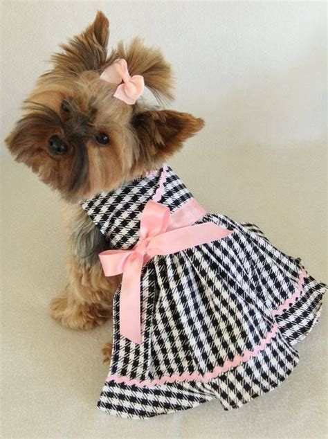 Pin By Vallolet Efz On Camasropa Para Mscotas Dog Clothes Patterns