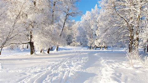 Téléchargez Une Image Sur Votre Téléphone Paysage Hiver Neige