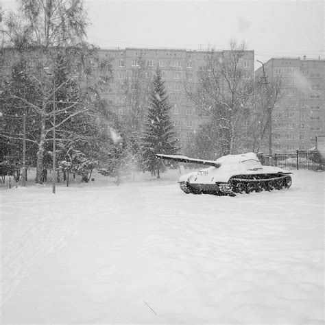 It snowed - pikabu.monster