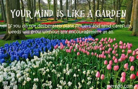 Mind Is A Garden Quotes Quotesgram