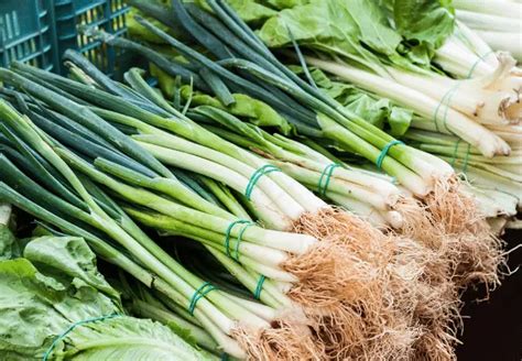 Shallots Vs Scallions Discover The Differences Difference And