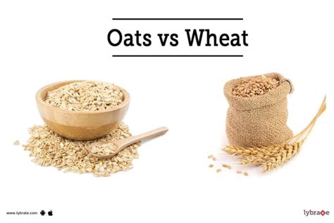 Oats Vs Wheat Which One Makes A Healthiest Breakfast By Dr Sanjeev Kumar Singh Lybrate