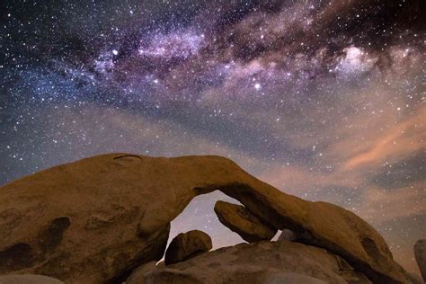 10 extraordinary joshua tree national park facts you ll want to know