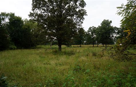 Pottersville, Howell County, MO Undeveloped Land for sale Property ID ...