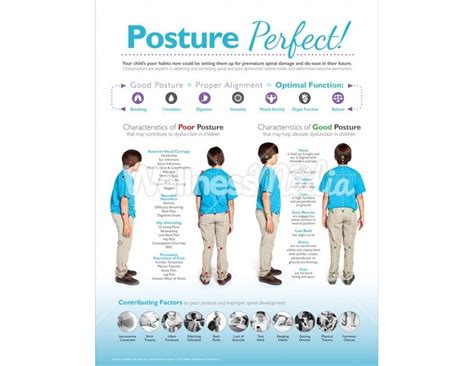 Posture Perfect Chiropractic Handout Postures Chiropractic Patient