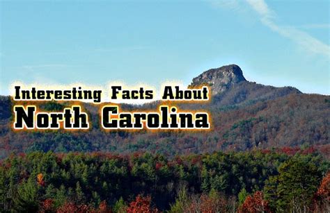 Interesting Facts About North Carolina Mental Itch