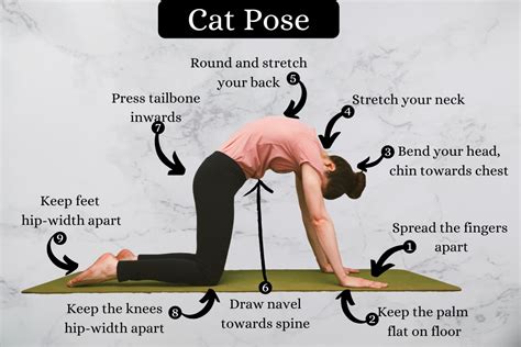 Cat Pose Marjariasana How To Do Benefits And Precautions Fitsri Yoga