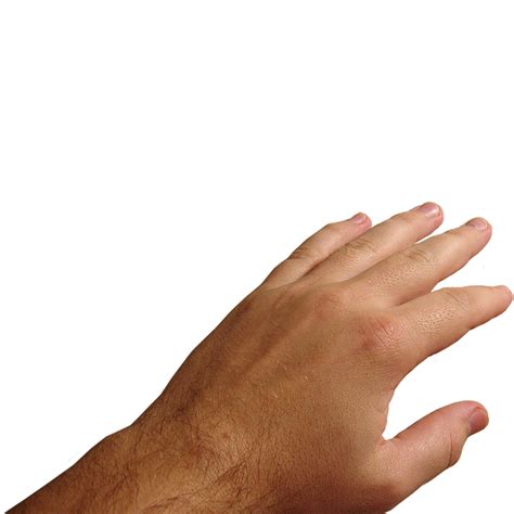 Hand Png Transparent Images Pictures Photos Png Arts