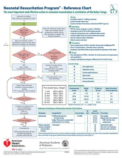 Neonatal Resuscitation Program Reference Chart Nrp By American