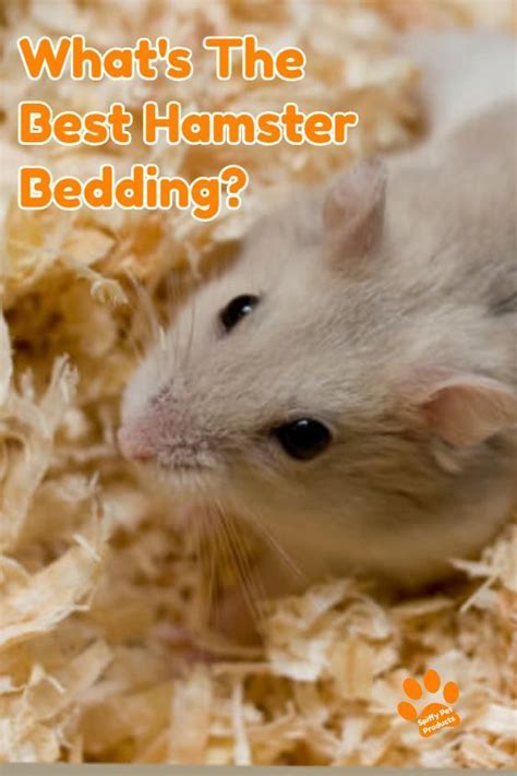 Best Hamster Bedding The Ultimate Guide For Syrian Robo And Dwarf