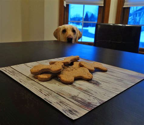 Two types of treats you can create with little fuss are a basic dog biscuit and a trail mix. Homemade Low-Fat Dog Treat Recipe - My Dog's Name