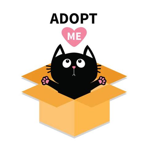 To see recently adopted cats, click here. Cat Box Clip Art, Vector Images & Illustrations - iStock