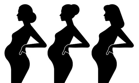 Silhouette Of A Pregnant Woman A Set Of Different Pregnant Girls With A