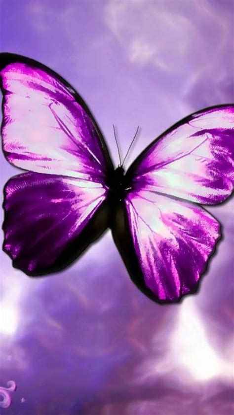 Purple Butterfly Aesthetic Wallpapers Wallpaper Cave