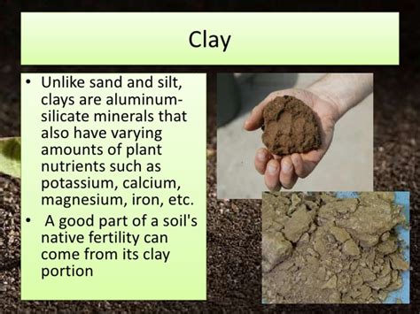 The Importance Of Knowing Different Types Of Soil Dengarden