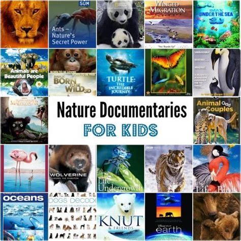 29 Incredible Nature Documentaries For Kids And Families Homeschool