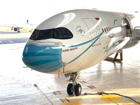 El Airbus A330neo De Garuda Indonesia Y Su Curioso Livery Para Tomar Conciencia Alnnews
