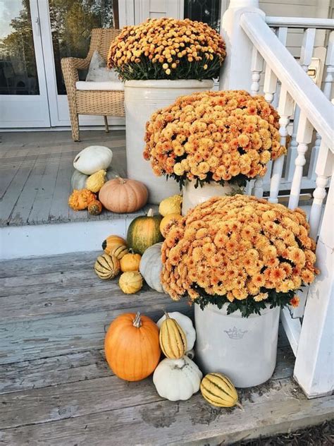 Fall Planter Ideas Wow Em In 3 Easy Steps The Garden Glove Fall