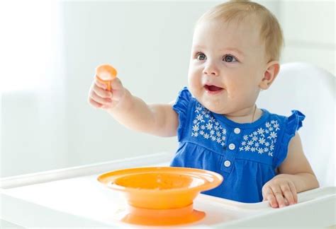 In the sixth month, they are introduced to solid food;… read more »8 month old feeding schedule guidelines 8 Months Old Baby Food Ideas
