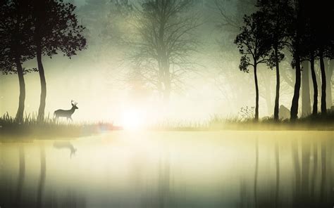 Nature Environment Landscape River Deer Animals Wallpapers Hd