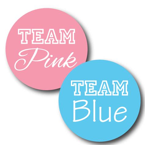 team pink team blue gender reveal labels party ideas stick em up labels