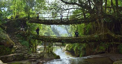 Trek To Double Decker Root Bridge In Cherrapunjee Trip To Meghalaya