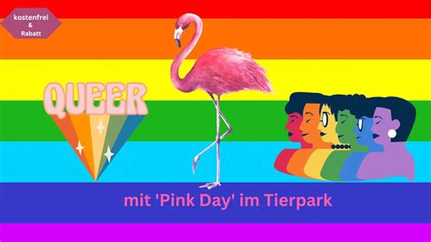 Queere Veranstaltungen In Berlin Farbenfroher Pink Day Im Tierpark Lichtenberg
