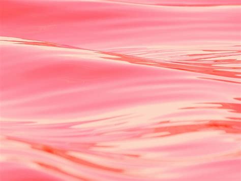 Discover 64 Pink Summer Wallpaper Super Hot Incdgdbentre