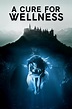 A Cure for Wellness (2017) | The Poster Database (TPDb)