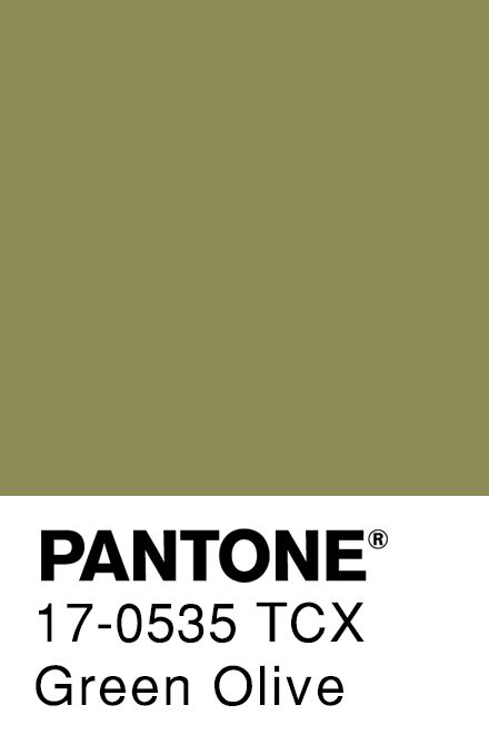 Green Olive Pantone Pantone Green Green Palette Pantone Colour Palettes