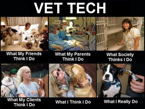 Does this sound like your type of gig? The 25+ best Vet tech job description ideas on Pinterest ...