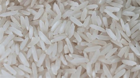 Rice Grains In Detail Free Footage Youtube