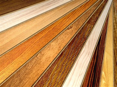 Oil Versus Urethane Finished Wood Floors