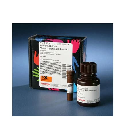 Laboshop Products Thermo Scientific Pierce Ecl Plus Western Blotting Substrate Ml